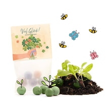 Laden Sie das Bild in den Galerie-Viewer, Blumenmurmeln - Viel Glück - Kleestraus - 5 Murmeln im Tütchen