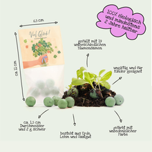 Laden Sie das Bild in den Galerie-Viewer, Blumenmurmeln - Viel Glück - Kleestraus - 5 Murmeln im Tütchen