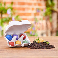 Laden Sie das Bild in den Galerie-Viewer, Osterblumen Blumenmurmeln in Pappschachtel