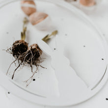 Laden Sie das Bild in den Galerie-Viewer, Holzkranz Hase