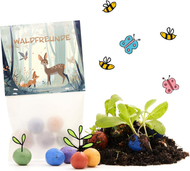 5er Blumenmurmeln im Pergaminbeutel - 