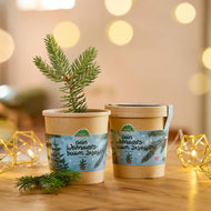 Weihnachtsbaum 2030 aus dem Becher