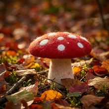 Laden Sie das Bild in den Galerie-Viewer, Handgefilzte Pilze aus Nepal – 5er Set 🍄