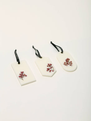 Schwarze Johannisbeere, Birke und Eichenmoos, Wachsriegel, Div. Sets