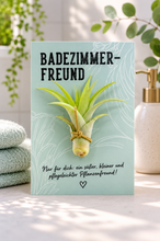 Laden Sie das Bild in den Galerie-Viewer, Pflanze mit Saugnapf - einzigartiges Geschenk