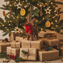 Laden Sie das Bild in den Galerie-Viewer, Rudolph Filzanhänger 2er-Set | Weihnachtsdeko