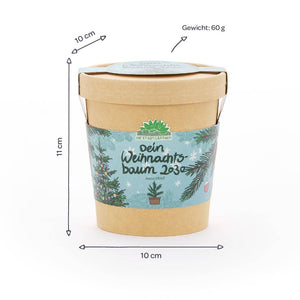Weihnachtsbaum 2030 aus dem Becher