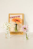 Mini-Vase mit Saugnapf - Blumenfreund DE