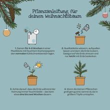 Laden Sie das Bild in den Galerie-Viewer, Weihnachtsbaum 2030 aus dem Becher